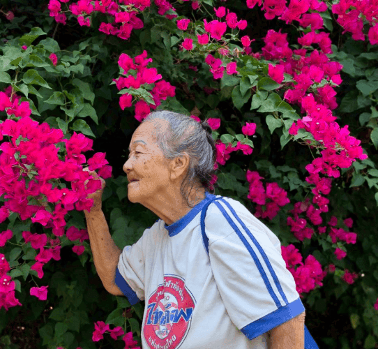 Hin Lek Fai Climate for Healthy Aging