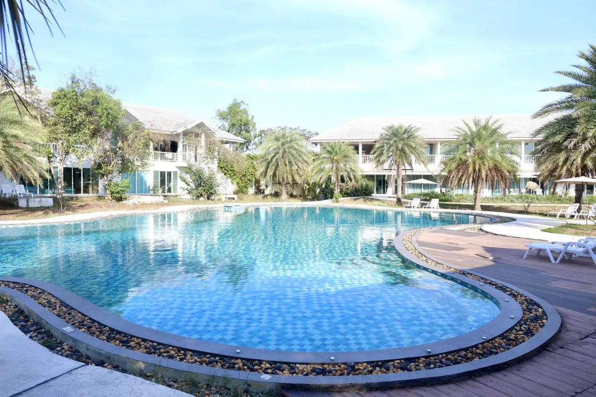The outdoor swimming pool and surrounding greenery at Elder Blossom